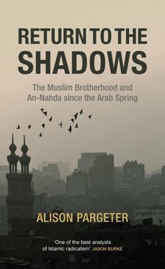 Return to the shadows by Alison Pargeter
