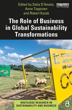 The role of business in global sustainability transformations by Dalia D'Amato