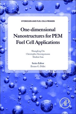 One-dimensional nanostructures for PEM fuel cell application by Shangfeng Du