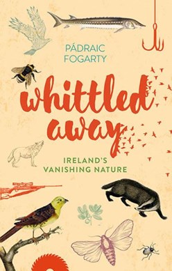 Whittled away by Pádraic Fogarty