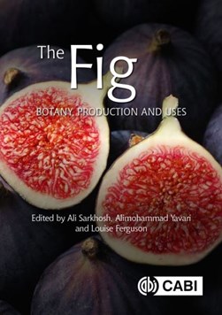 The fig by Ali Sarkhosh