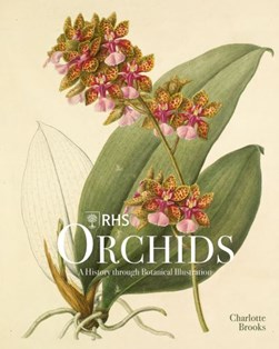 RHS orchids by Charlotte Brooks
