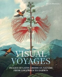 Visual Voyages by Daniela Bleichmar
