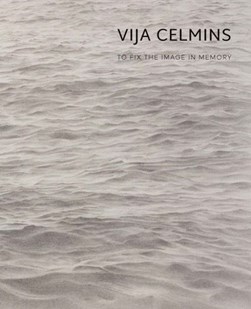 Vija Celmins - To fix the image in memory by Gary Garrels