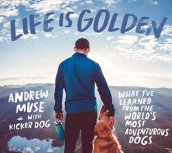 Life is golden by 
