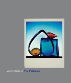 The polaroids by André Kertész