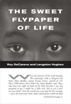 The Sweet Flypaper of Life by Roy DeCarava