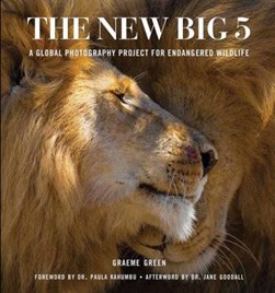 New Big Five, The by Graeme Green
