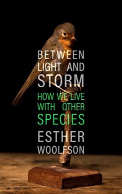 Between light and storm by Esther Woolfson