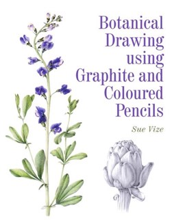 Botanical drawing using graphite and coloured pencils by Sue Vize