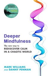 Deeper Mindfulness TPB