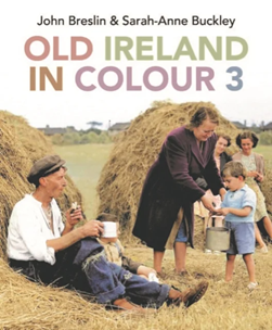 Old Ireland in colour 3 by John G. Breslin