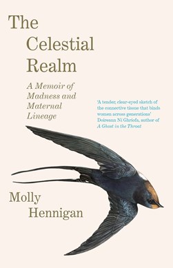 The celestial realm by Molly Hennigan