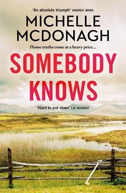 Somebody knows by Michelle McDonagh
