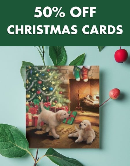 Xmas Gift: Christmas Cards Slide 