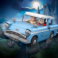 Character/Franchise: Harry Potter 