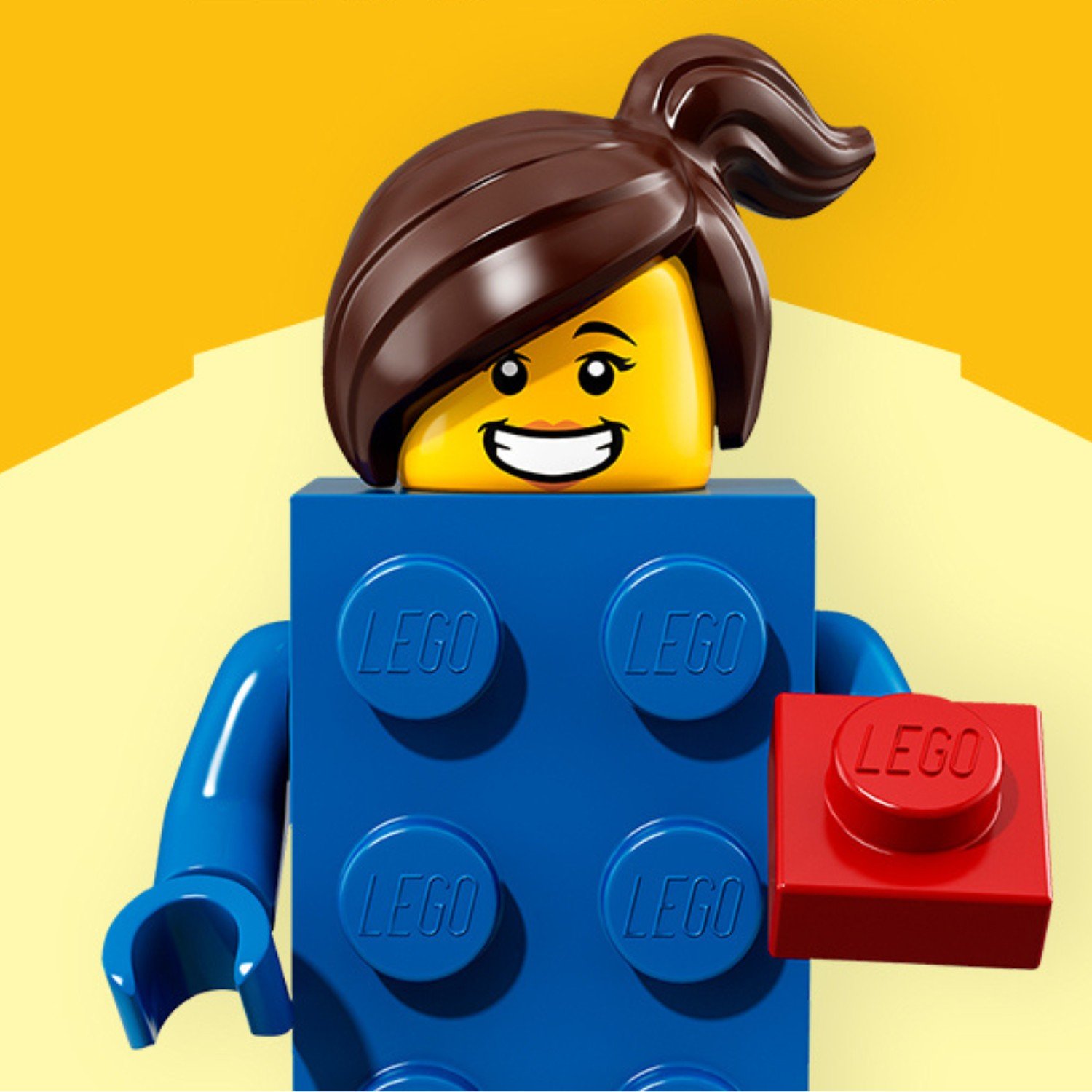 LEGO Brand Slide 