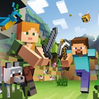 Character/Franchise: Minecraft Slide 