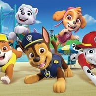 Character/Franchise: Paw Patrol 