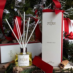 Dublin Herb Wild Fern Christmas Spice Diffuser