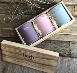 HERB DUBLIN PASTEL TRIO (SET OF 3 CANDLES)