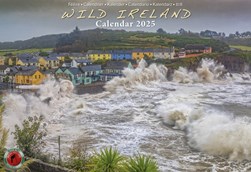 Wild Ireland Calendar