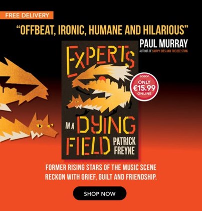 Experts in a Dying Field book by Patrick Freyne