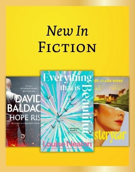 New fiction books 