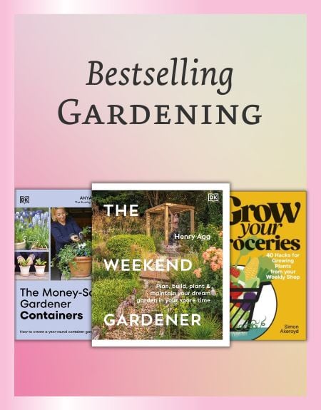 bestselling manga series 