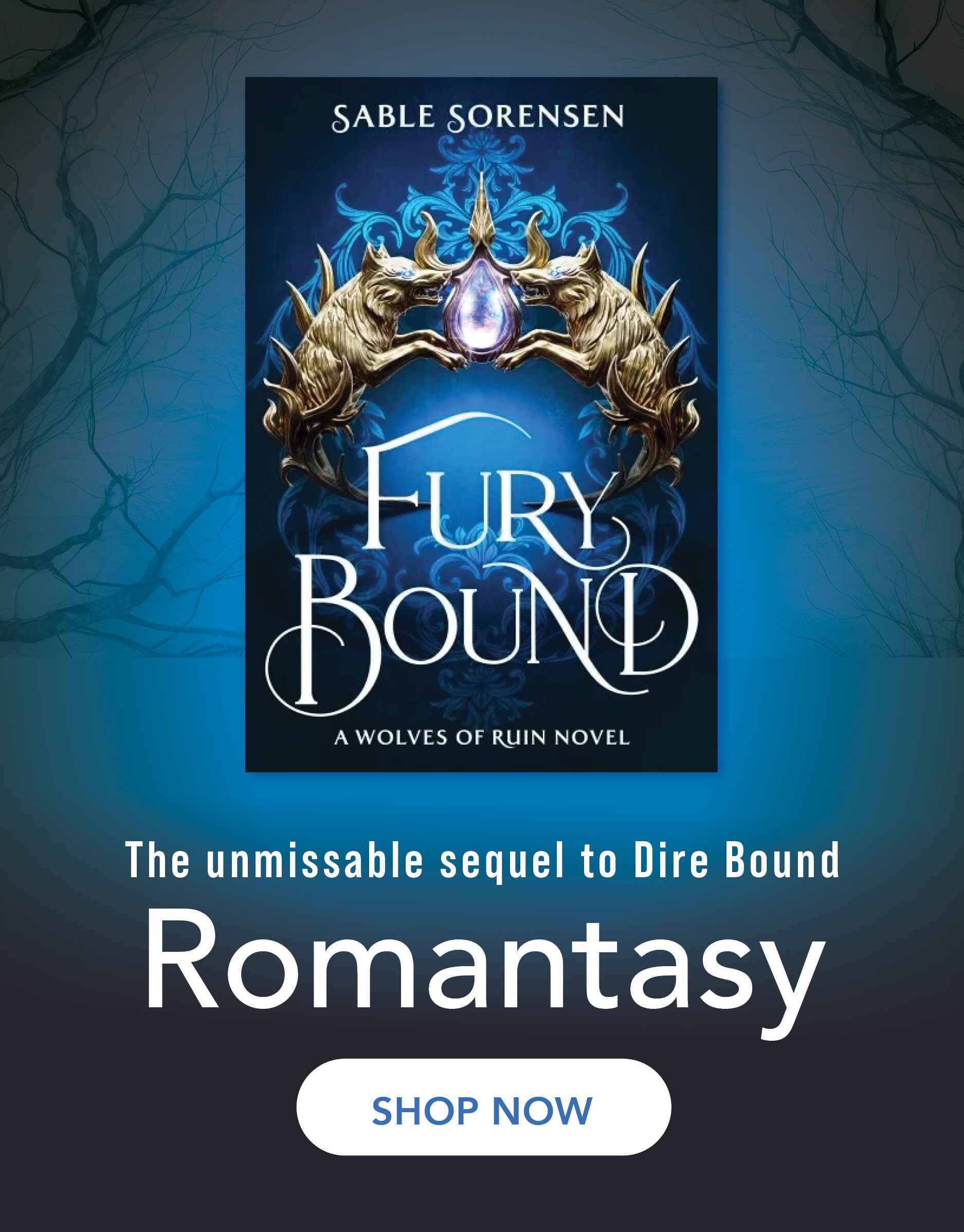fury bound book by sable sorensen 