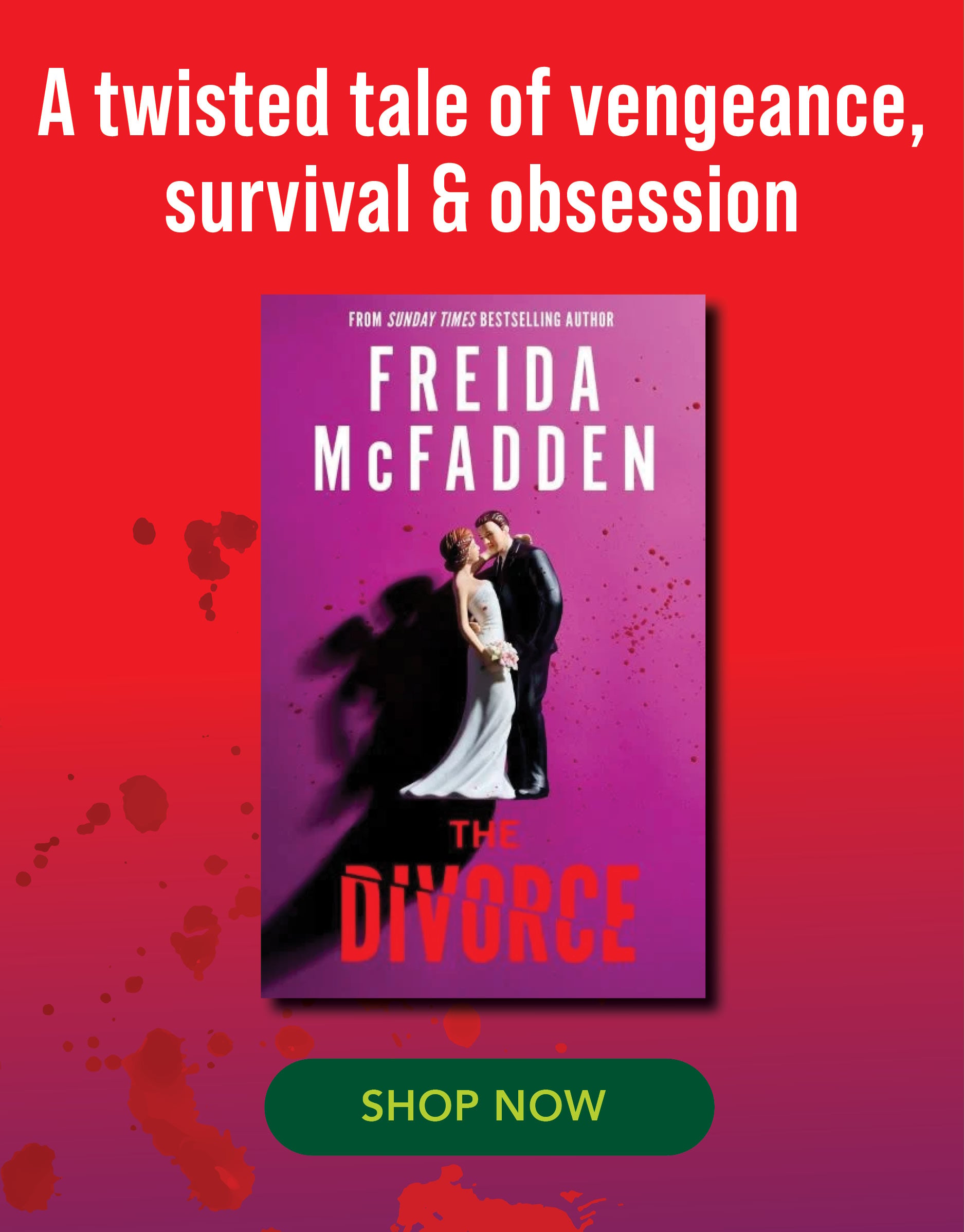 The Divorce book by FReida McFadden 