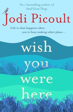 Wish you were here by Jodi Picoult