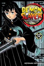 Demon slayer Vol. 12