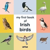 My first book of Irish birds