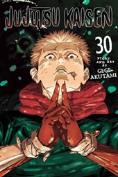 Jujutsu Kaisen Vol. 30