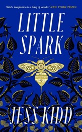 Little Spark
