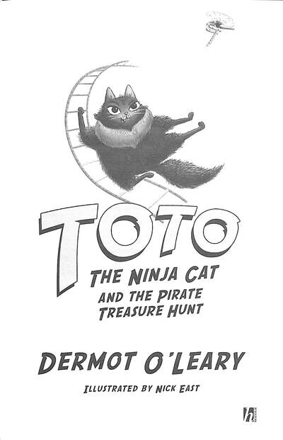 Toto The Ninja Cat And The Pirate Treasure Hunt By Dermot O'Leary