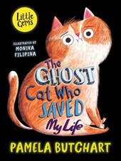 The ghost cat who saved my life (Barrington Stokes)