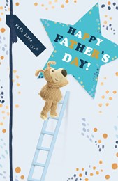 Fathers Day Card - Boofle on Ladder