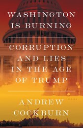 Washington is burning