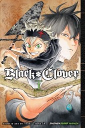 Black clover. Volume 1