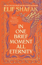 In One Brief Moment All Eternity