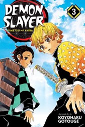 Demon slayer Vol. 3