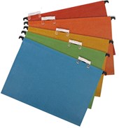 Cathedral Suspension File Assorted Fools Cap - 10 Pack