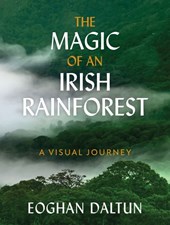 The Magic Of An Irish Rainforest : A Visual Journey
