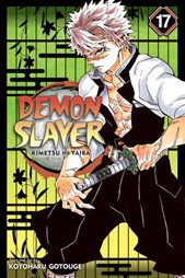 Demon slayer Vol. 17