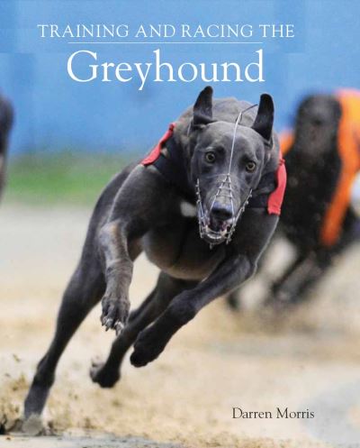 Greyhound Tracks Irish Dog Racing Buy Training And Racing The