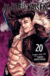 Jujutsu Kaisen. Vol. 20