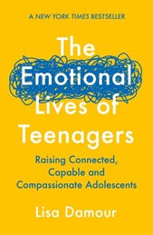 The emotional lives of teenagers