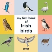 My first book of Irish birds